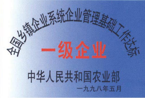 一級(jí)企業(yè)